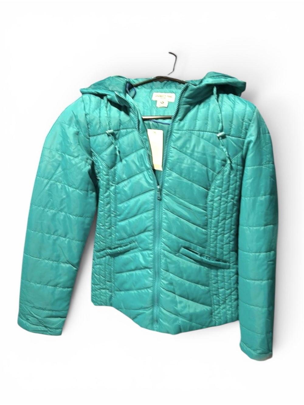 Celebrity Pink Teal Quilted Hooded Puffer Jacket